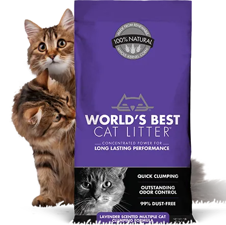 Plastic Cat Litter Packaging Bag Customized