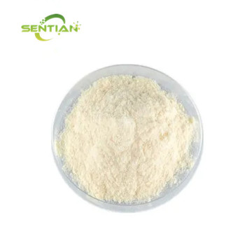 Yeast Extraction Enzyme