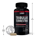 OEM/ODM Lower Blood Pressure Tribulus Terrestris Capsules