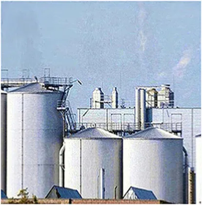 Whole Husk Psyllium Dietary Fiber psyllium husk