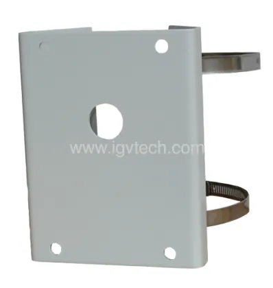 High Speed Dome Camera/ptz Camera Igv-ptz10 