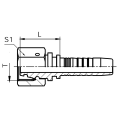 Metric Female 24 Degree Cone Fittings