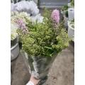 قطع طازجة من Sorbaria Sorbifolia باللون الوردي لتزيين الزفاف