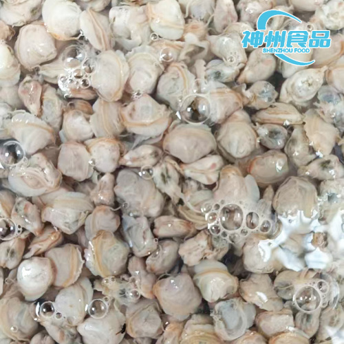 Carne di vongole dorate d'acqua dolce cotta e sgusciata