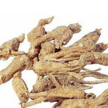 ginseng extract health tea