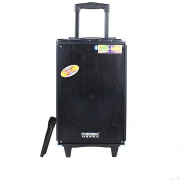 10 Inch Portable Mini Speaker for Best Sound Equipment, Amplifiers, Bluetooth, and Line Array Speakers
