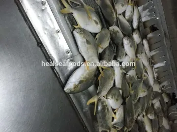 seafood Frozen Golden Pomfret