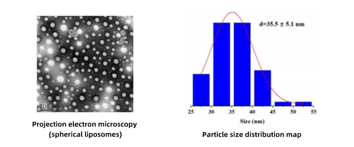 liposomal l-glutathione powder