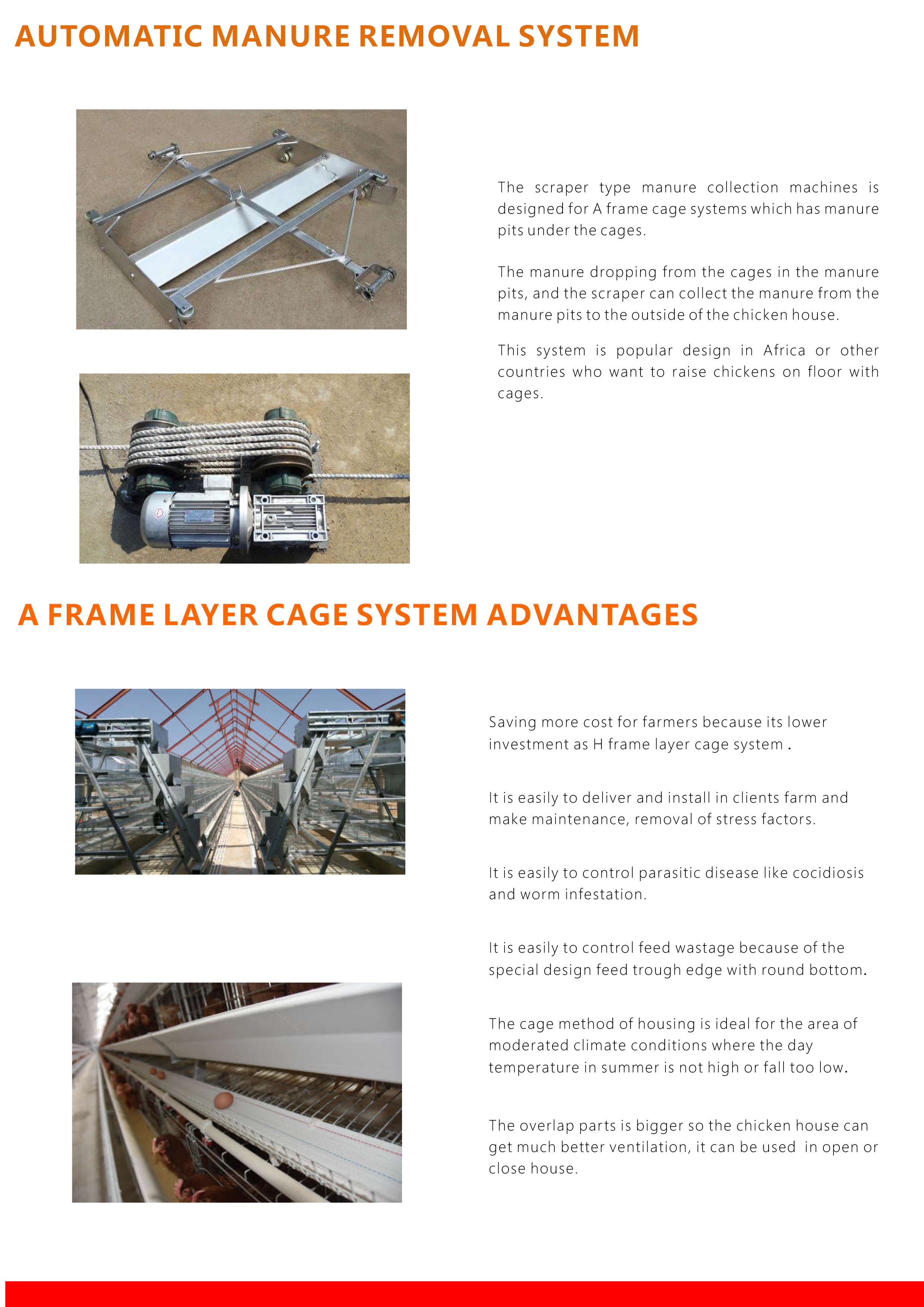 A frame layer chicken cage system-5
