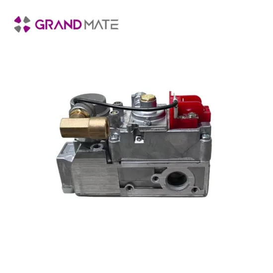 Aluminum oem odm gas control safety valve