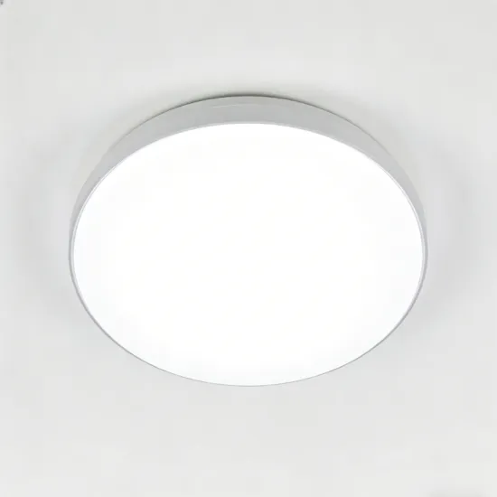 Flat surface ceiling light LED