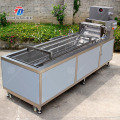 Grande máquina de lavar industrial de frutas e vegetais