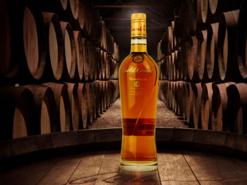 GOLD WHISKY