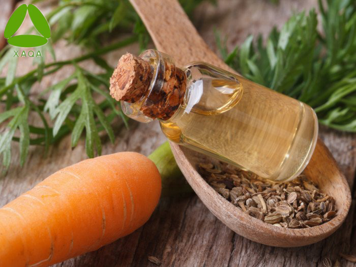 carrot seed oil