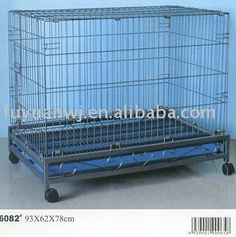 CAGE