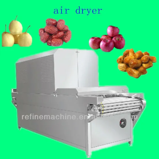 apple dryer/fruit drying machine