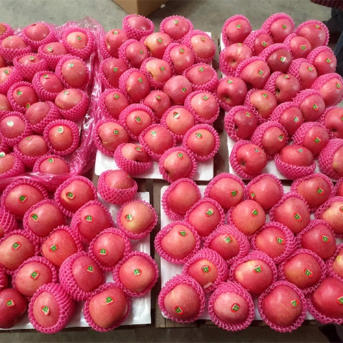 National Fresh Fuji Apple -- 8 per pack