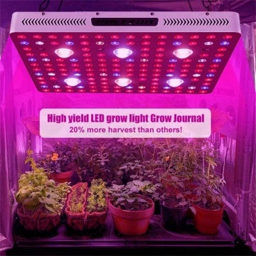 Best Led Grow Lights Reddit Manufacture And Best Led Grow Lights Reddit Supplier In China
