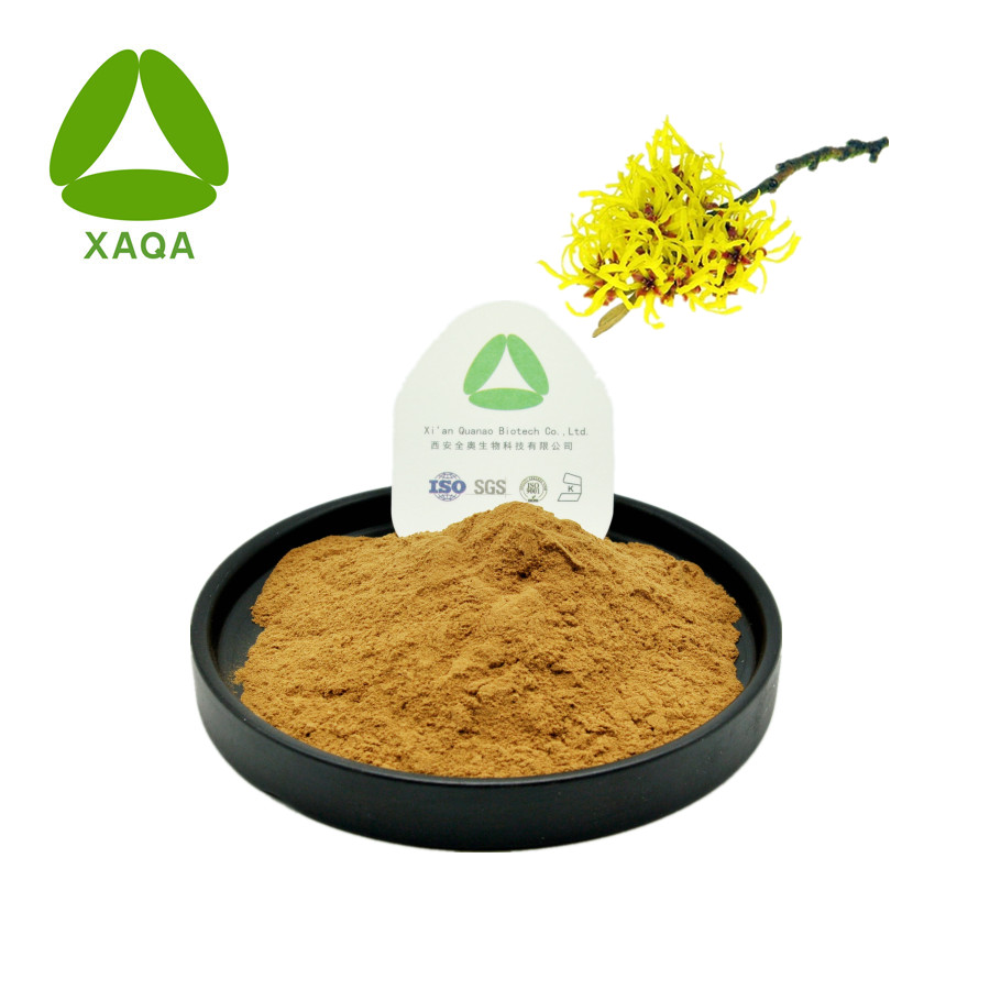 Witch Hazel Extract Powder 100% Natural