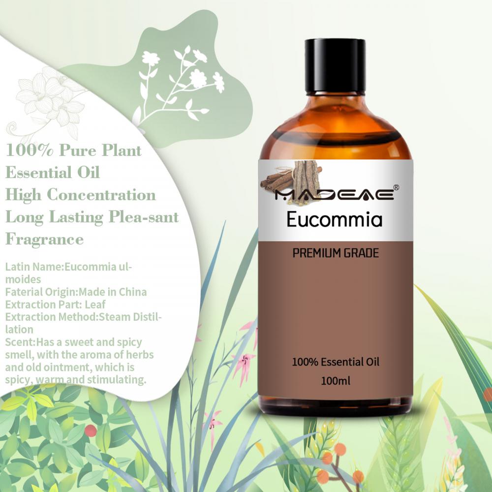 Prix ​​en vrac en gros Eucommia organique 100% pure pure huile d&#39;eucommia