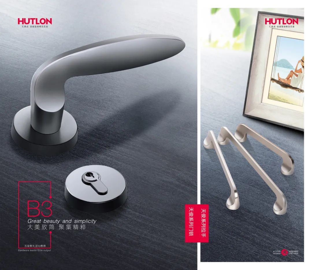 Furniture handles and door locks