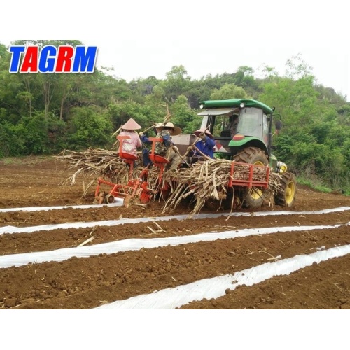 Machine de plantation de canne à sucre en bâtons entiers