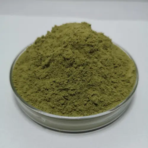 Organic Concentrated Freeze Dried Kale Powder, High Quality Organic