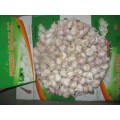 2020 Normal White Garlic High Quality