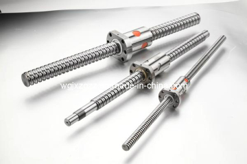 High Quality Ball Screw (SFU1610)