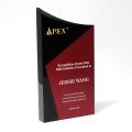 Placa de premio de acrílico con acabado cepillado personalizado rojo APEX