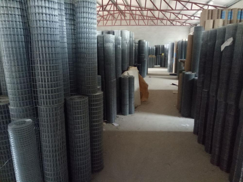 Galvanized/PVC Coated Welded Wire Mesh