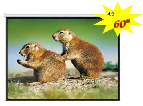 Self Lock Projection Screen 