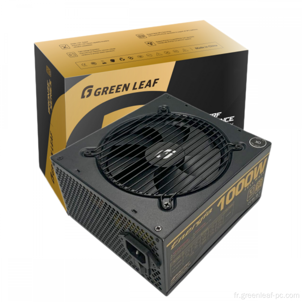 PC alimentation PCIe 5.0 1000W