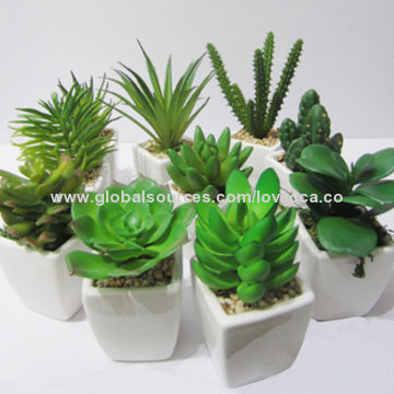 China wholesale popular artificial plant for decoration