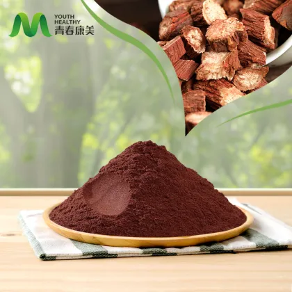 Salvia Miltiorrhiza Extract Powder for Liver Support
