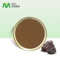 Kiváló minőségű természetes shilajit kivonat por