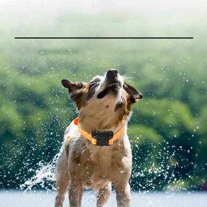 MOFESIPI Pet Dogs 4G GPS Tracker