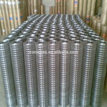 galvanized welded wire mesh/ PVC coated wire mesh fence made in China