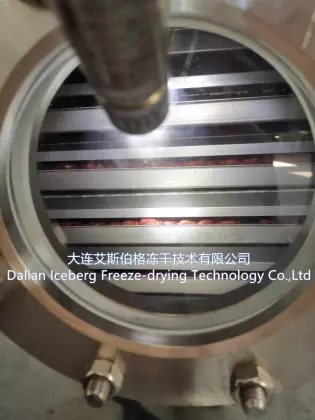 Strawberry Fruit Freeze-drying Machine