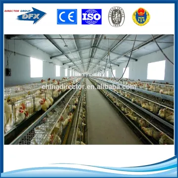 Low cost design layer poultry farm shed