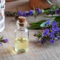 Hyssop Essential Oils In Bulk