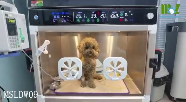 Pet ICU Incubator with Temperature Self-Adaption Adjustment System
