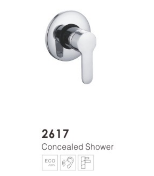 Bathroom Concealed Shower 2617