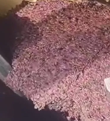 Grape Juice Machine for White Grape Juice Concentrate - Made in China