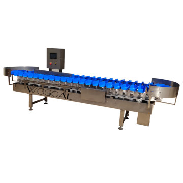 Automatic Shrimp Grader: Weight Sorting Machine for Seafood Grading