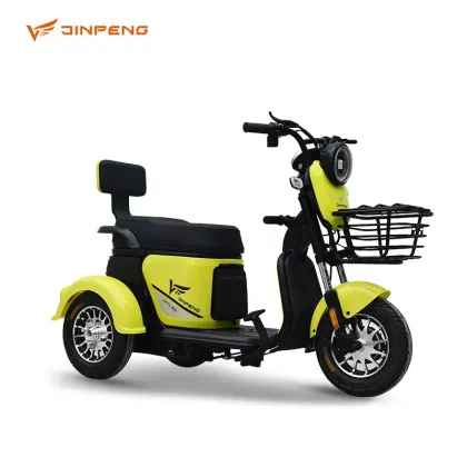 Adult Electric Tricycle Factory Support Tuk Tuk Electric
