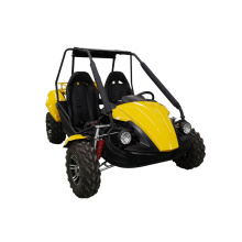 4 عجلات 150cc / 250cc الكثيب Buggy للبيع