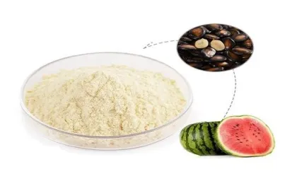 Watermelon Seed Extract Powder 60% Watermelon Seed Protein