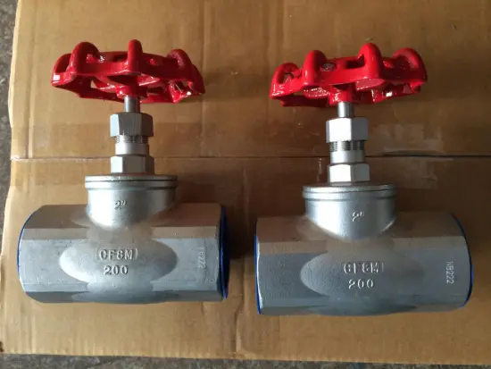 SS Screwed Globe Valve