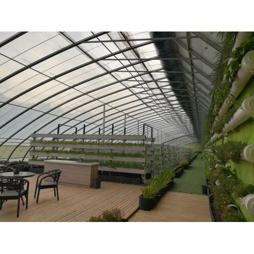 Scenic Sunlit Warm Greenhouse